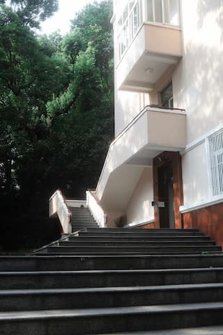 建筑外立面有楼梯通向入口 旁边有树木 楼梯台阶较多
