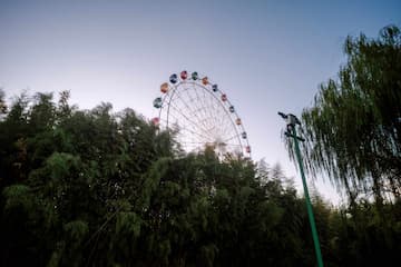 图片展示了一个摩天轮，部分被树木遮挡，旁边有一根灯杆。