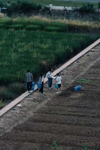 几个人站在田埂上，旁边是稻田和耕地，他们似乎在交谈。
