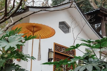 白墙建筑搭配中式伞和植物 展现了庭院的宁静一角 具有东方特色