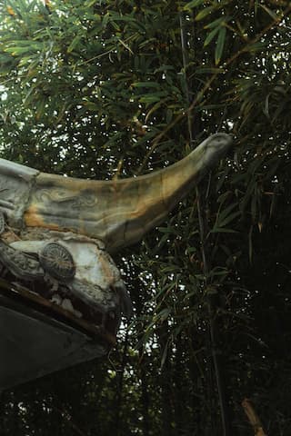 照片展示了古建筑的屋檐一角，与翠绿的竹林交相辉映，呈现出一种古朴而宁静的氛围
