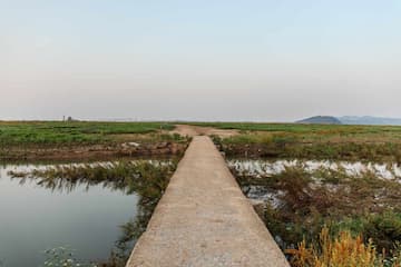 一条水泥路延伸穿过湿地连接远方陆地水面倒影清晰可见