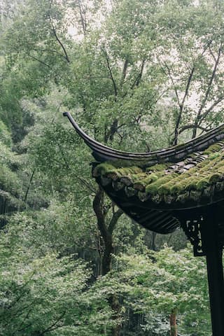图片展示了雨中的一个亭子，屋檐上长满了苔藓，周围是茂密的树木。