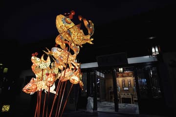 夜晚拍摄的动物造型花灯展览，背景是建筑。