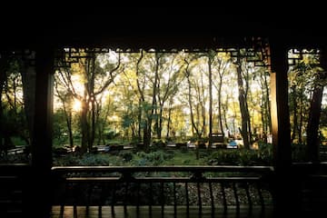 从建筑内部看出去，阳光穿过森林树木。