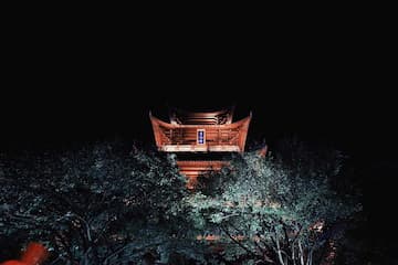 夜幕下的古建筑被树木环绕，灯光照亮建筑。