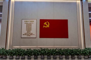 红色党旗悬挂在墙上旁边是入党誓词下方摆放着一排绿植