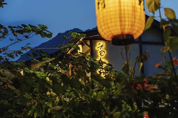 图片展示了夜色中一盏发光的灯笼，周围环绕着绿植，背景是建筑。