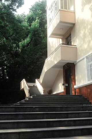 照片展示了一个建筑的外部 建筑旁边有一段阶梯通向茂密的树木 阳光照射在建筑和阶梯上