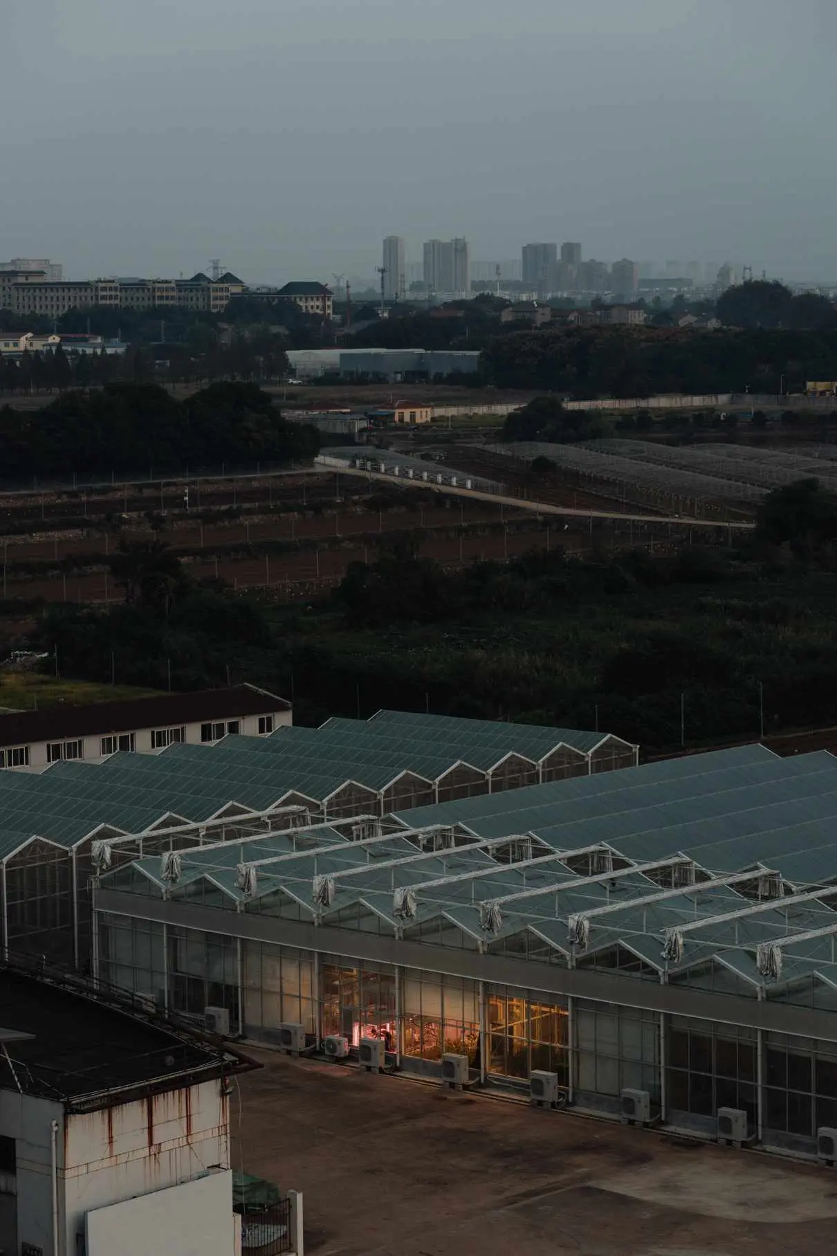 图片展示了多个温室建筑，远处是城市的天际线，整体笼罩在阴霾的天空下。