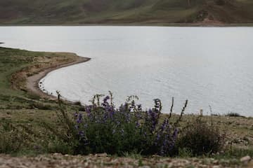 图片展示了一个湖泊，岸边有植被覆盖，远处是山峦。