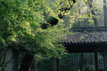 图片展示了绿树掩映下的中式庭院建筑，背景是竹林。