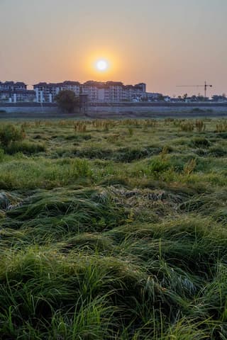 草地在前景建筑群和太阳在地平线上方 宁静的氛围