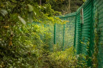 绿色植物围绕着一道绿色网状屏障 植被茂盛 屏障分隔空间