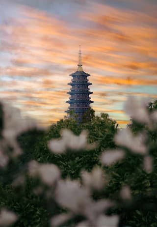 A multi-tiered pagoda rises above trees against a colorful sunset sky